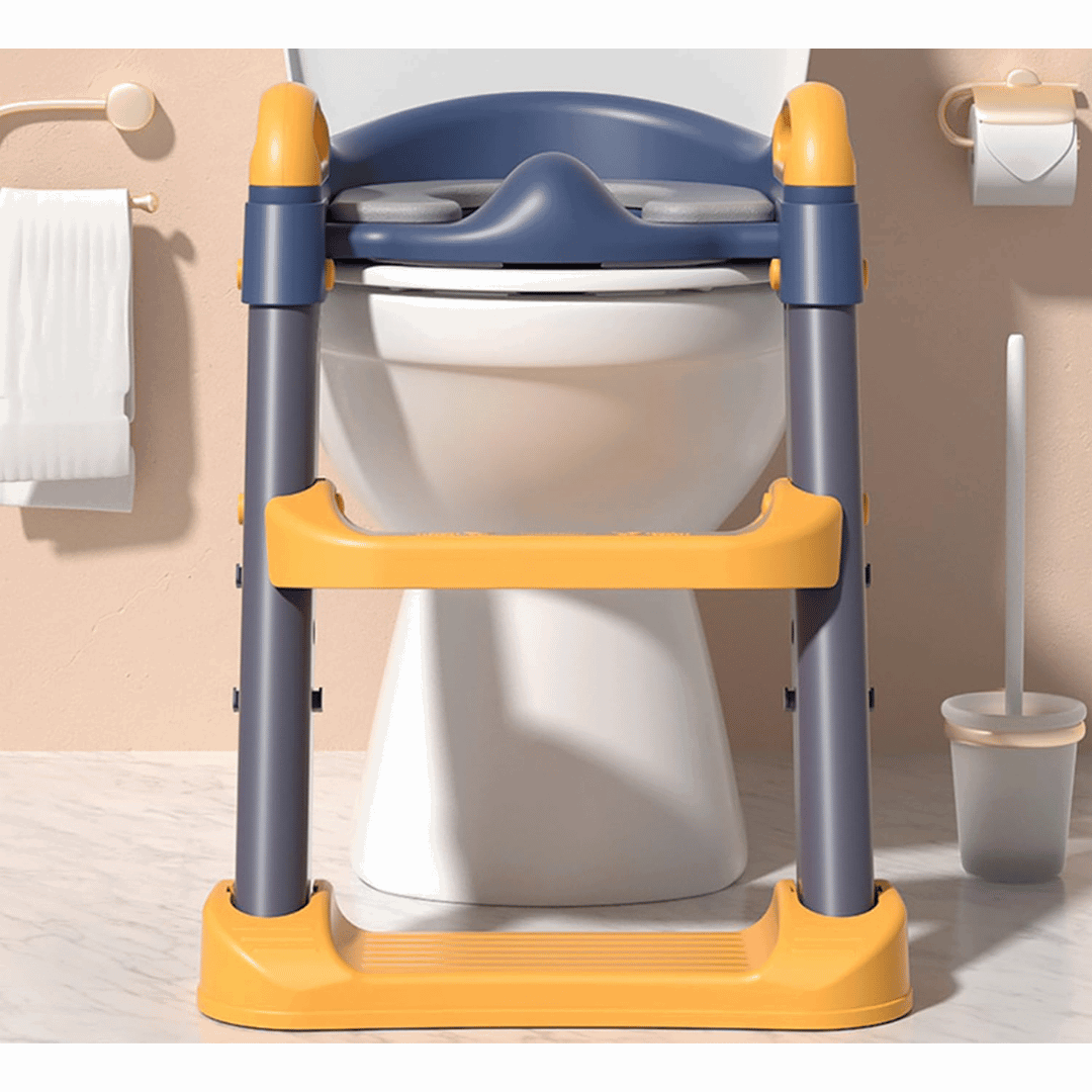 2 IN 1 Potty Training Seat With Ladder