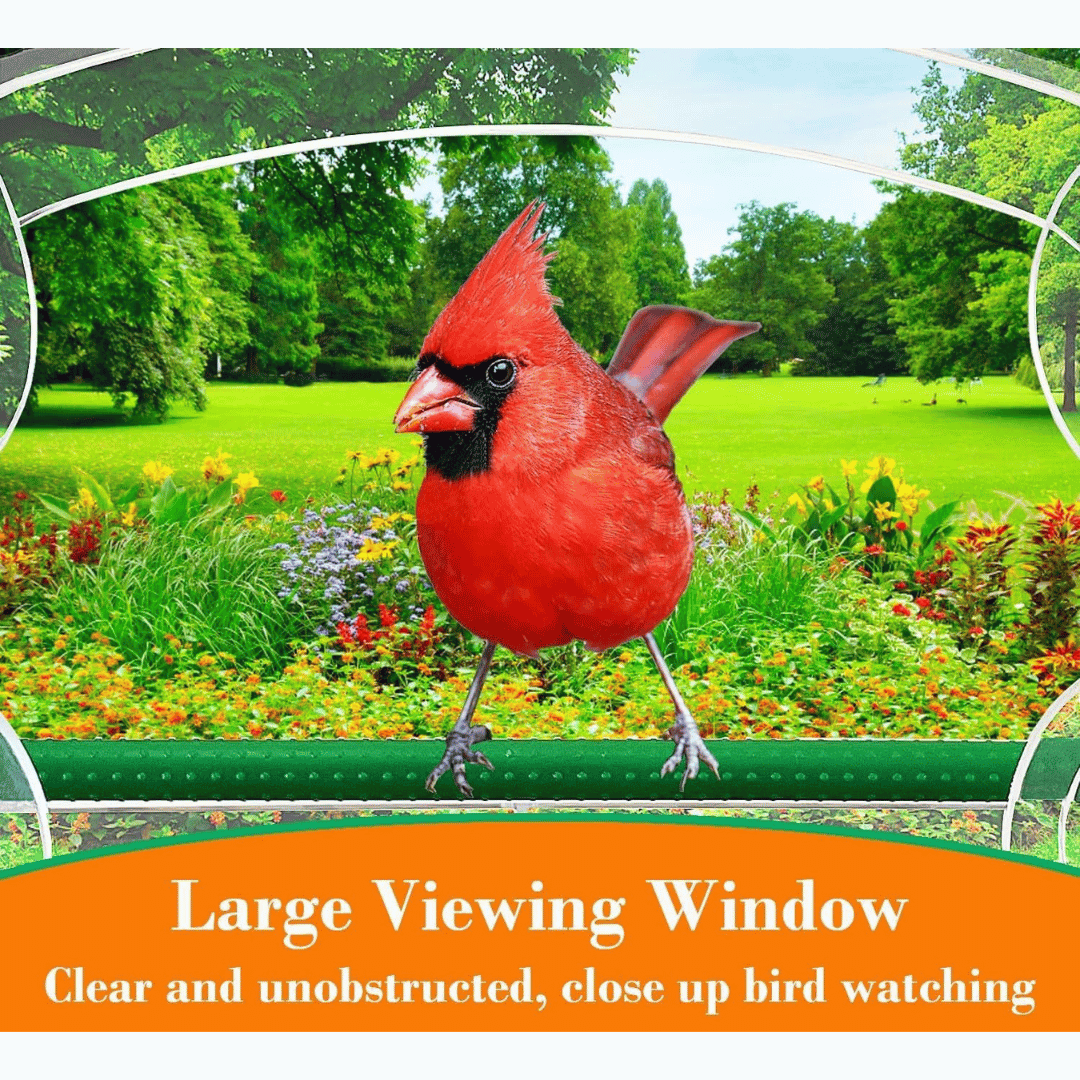 Bird Feeder For Wild Birds