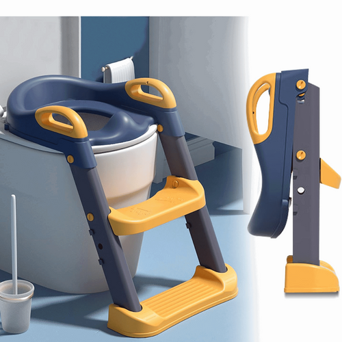 2 IN 1 Potty Training Seat With Ladder